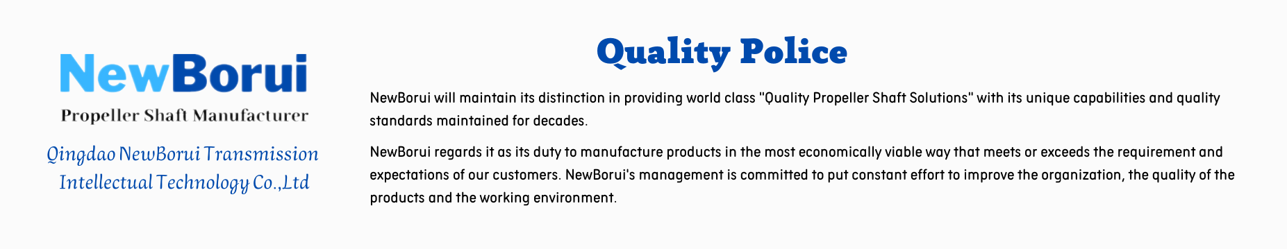 Qingdao NewBorui Transmission Intellectual Technology Co.,Ltd (1)